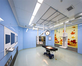 Medical Industry (RTHS)