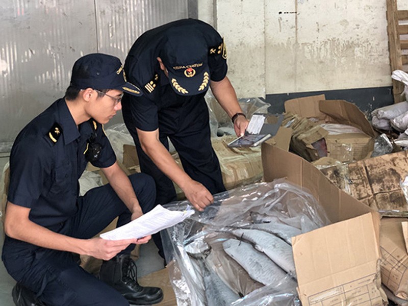 江门海关退运45.8吨进口水产品
