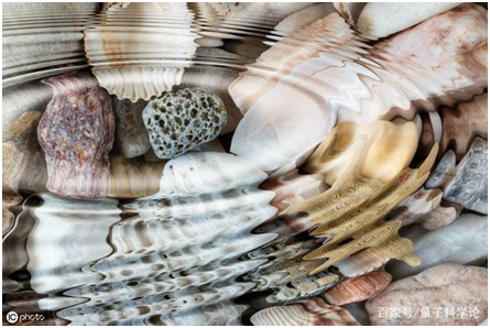 波物理学,以及横波的基本原理、描述和波动方程 波物理学,以及横波的基本原理、描述和波动方程