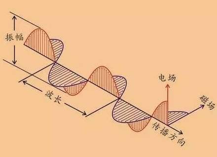 波物理学，以及横波的基本原理、描述和波动方程