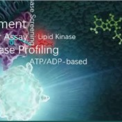 [麦技术]助力激酶靶点药物研发，细胞学和酶学激酶检测系统任你选！