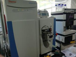 QEPLUS
