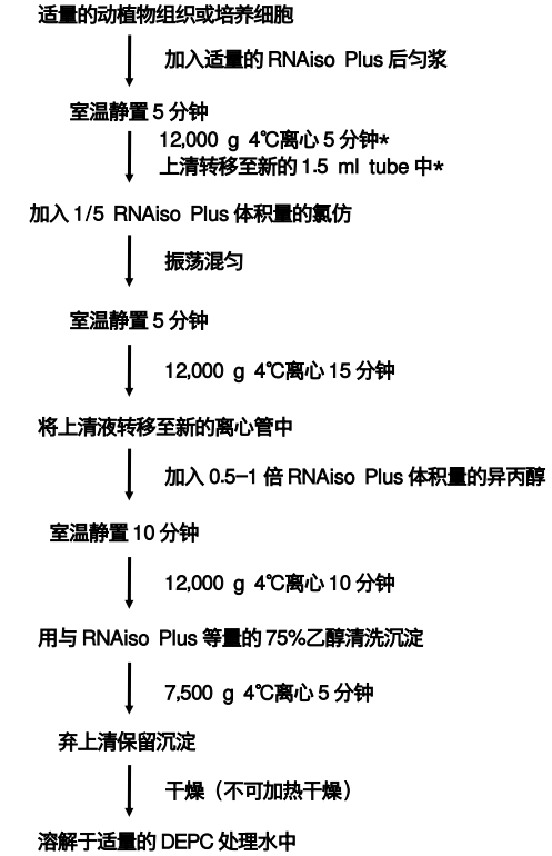 Real-time PCR 实时定量PCR技术