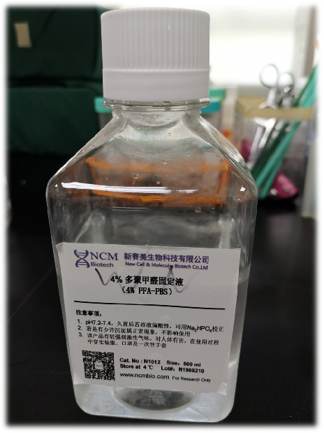 免疫荧光