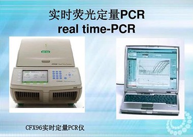 Real-time PCR 实时定量PCR技术