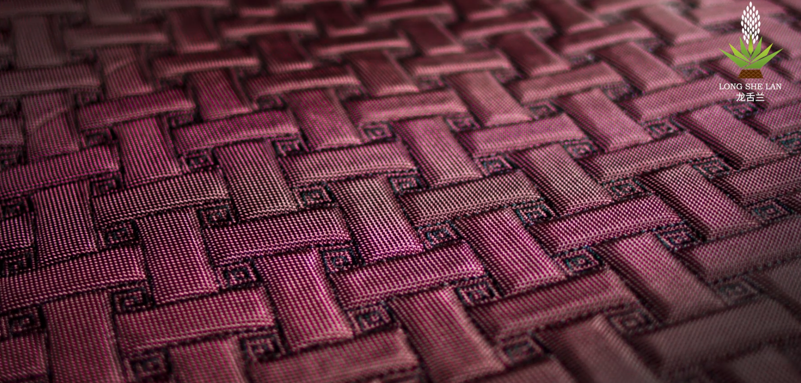 龙舌兰，至精致的自己