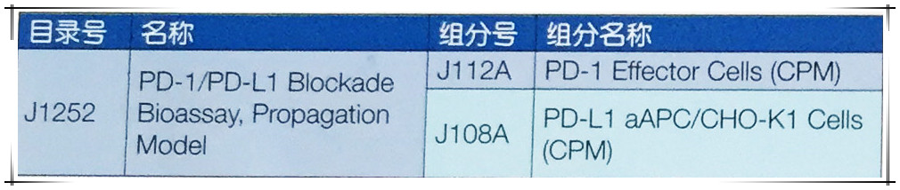 生物大分子药物开发解决方案