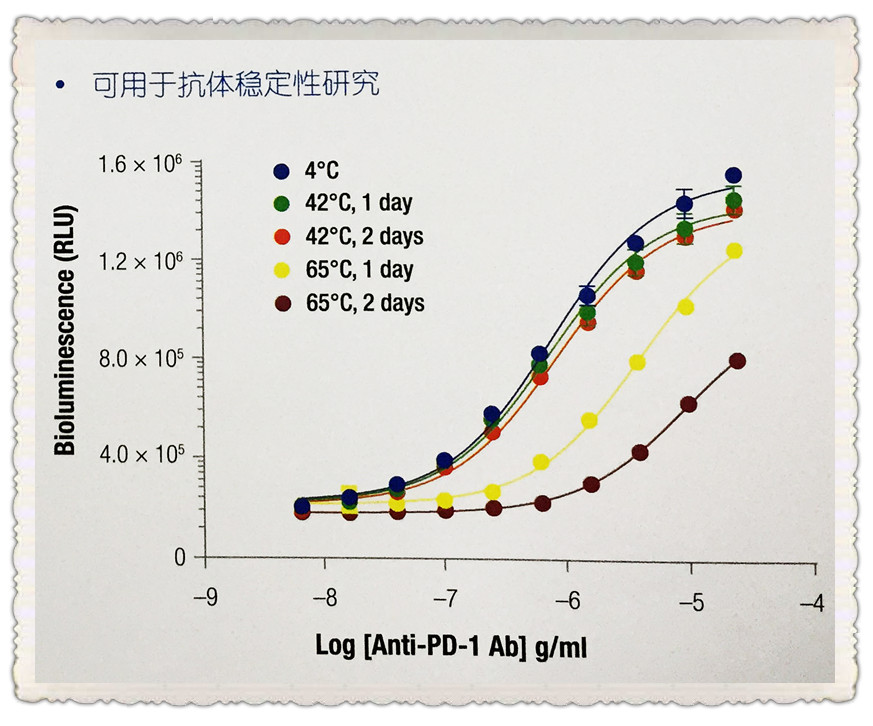 生物大分子药物开发解决方案