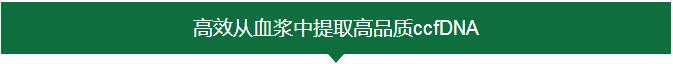 ccfDNA纯化,仅需3步哦,速速围观! ccfDNA纯化,仅需3步哦,速速围观!
