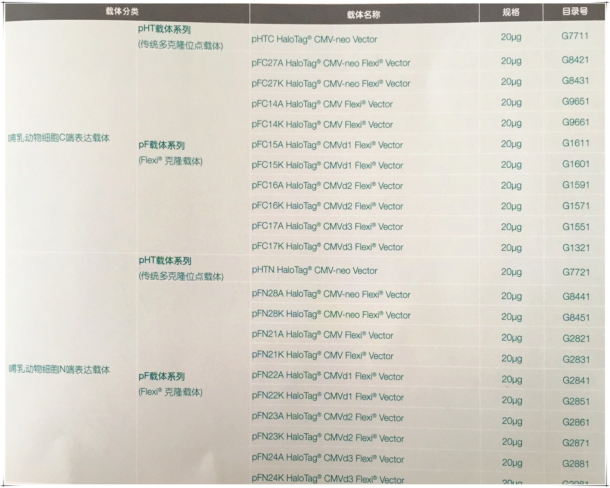 HaloTag®蛋白标签技术 HaloTag®蛋白标签技术