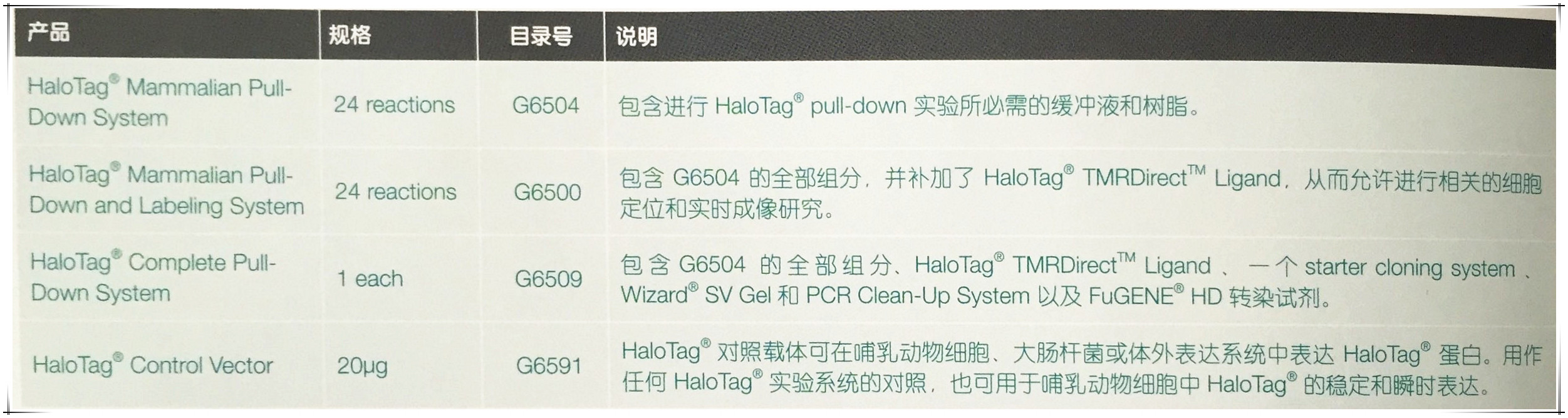 HaloTag®蛋白标签技术 HaloTag®蛋白标签技术