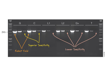 GoTaq® G2 Hot Start Green Master Mix M7422 M7423