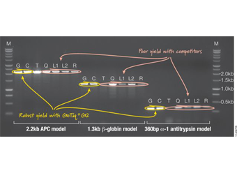 GoTaq® G2 Flexi DNA Polymerase M7801 M7805 M7806 M7808