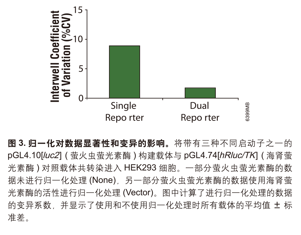 双萤光素酶报告基因检测