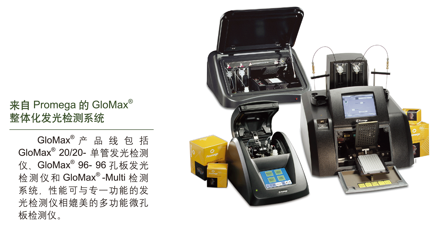 双萤光素酶报告基因检测