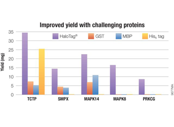 HaloTag® Vectors for E. coli and Cell-Free Protein Expression