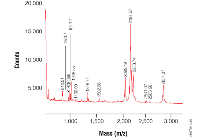Trypsin Gold, Mass Spectrometry Grade V5280