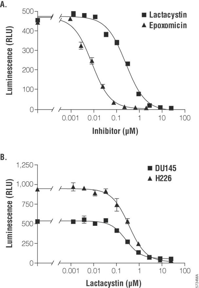 Cell-Based Proteasome-Glo™ Assays Cell-Based Proteasome-Glo™ Assays