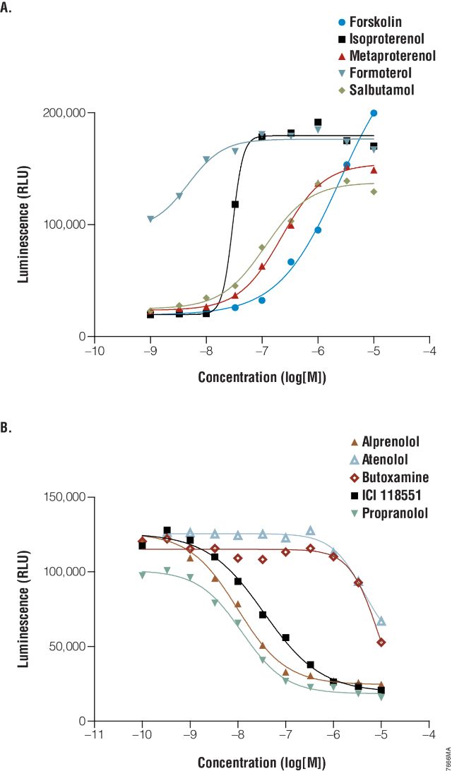 GloSensor™ cAMP Assay E1261 E2301 E1171 E1290 E1291 GloSensor™ cAMP Assay E1261 E2301 E1171 E1290 E1291