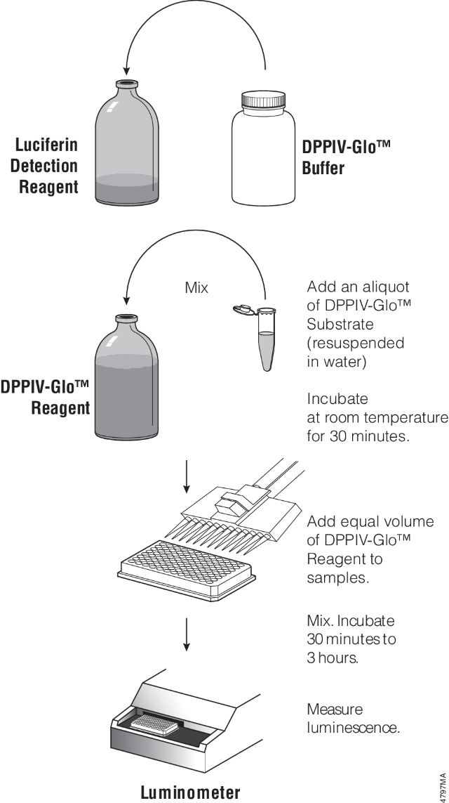DPPIV-Glo™ Protease Assay G8350 G8351
