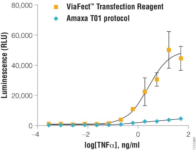 ViaFect™ Transfection Reagent E4981 E4982 ViaFect™ Transfection Reagent E4981 E4982