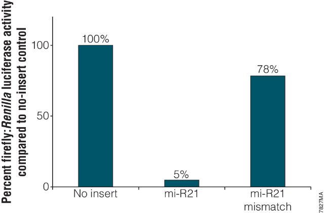 pmirGLO Dual-Luciferase miRNA Target Expression Vector E1330 pmirGLO Dual-Luciferase miRNA Target Expression Vector E1330