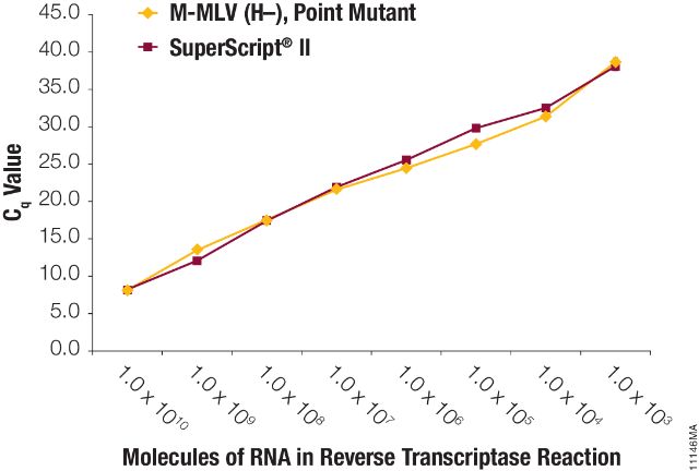 M-MLV Reverse Transcriptase, RNase H Minus, Point Mutant M3681 M3682 M3683