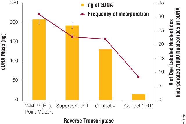 M-MLV Reverse Transcriptase, RNase H Minus, Point Mutant M3681 M3682 M3683