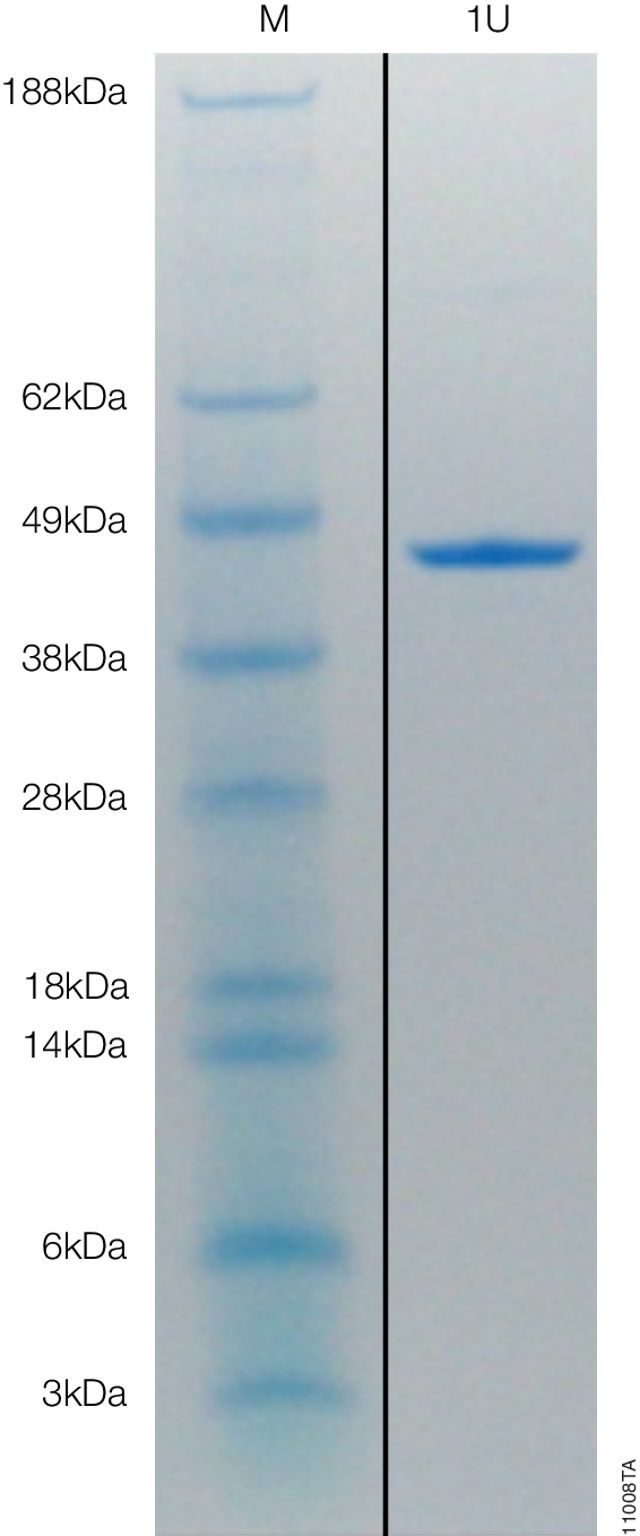 ProTEV Plus V6101 V6102
