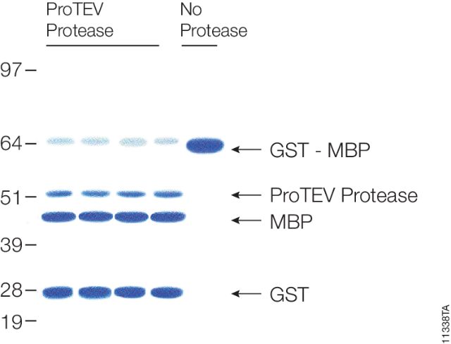 ProTEV Plus V6101 V6102