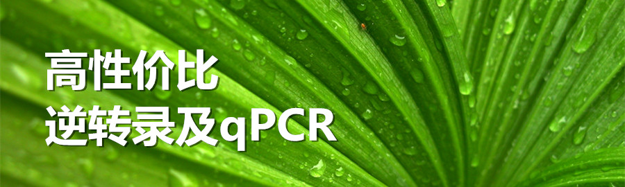 Eastep® RT Master Mix & qPCR Master Mix Eastep® RT Master Mix & qPCR Master Mix