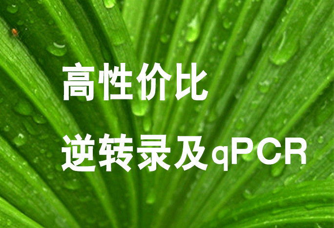 Eastep® RT Master Mix & qPCR Master Mix