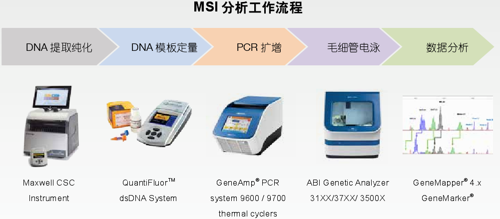 肿瘤微卫星不稳定性检测系统