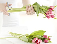 简花
