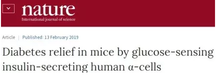 Nature：为治疗糖尿病，科学家们让细胞“改变身份”