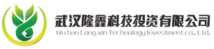 武汉隆鑫科技投资有限公司