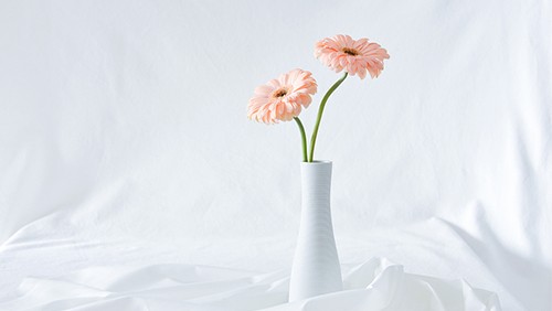 花艺剪刀有哪些种？花艺剪和普通剪刀有何区别？