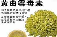 防腐剂和安全性，真的是道单选题吗？