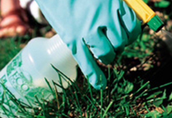 《农药标签二维码管理“之”规定》