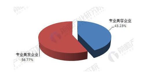 2017年美容美发企业现状分析