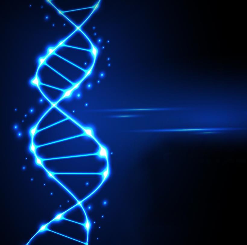 Cell：基于高通量单细胞转录组测序小鼠全细胞图谱发表