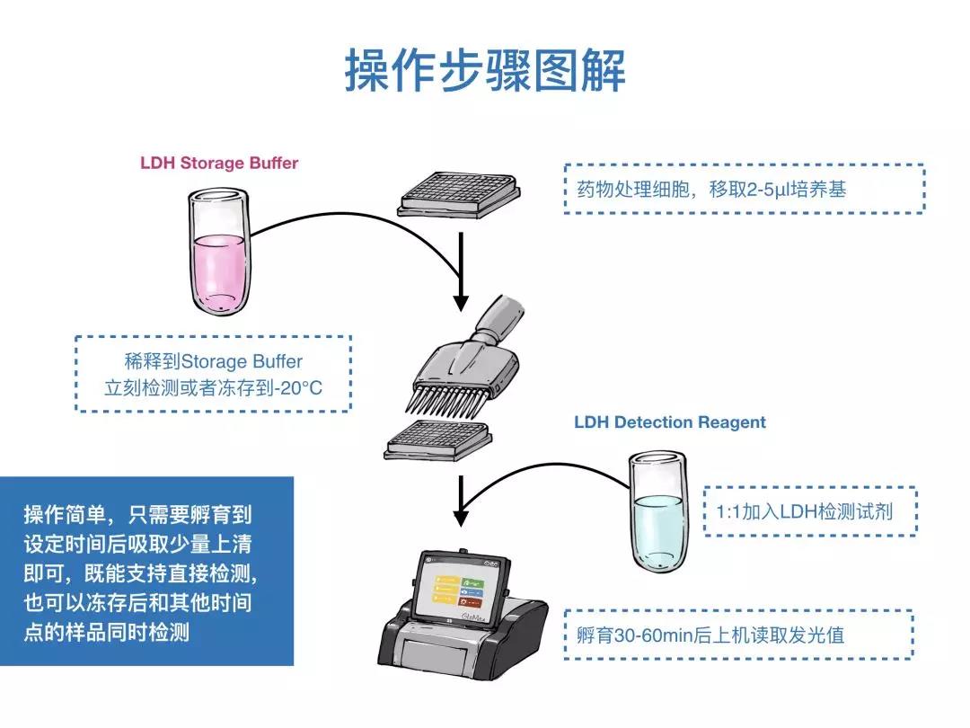 Promega漫画小剧场