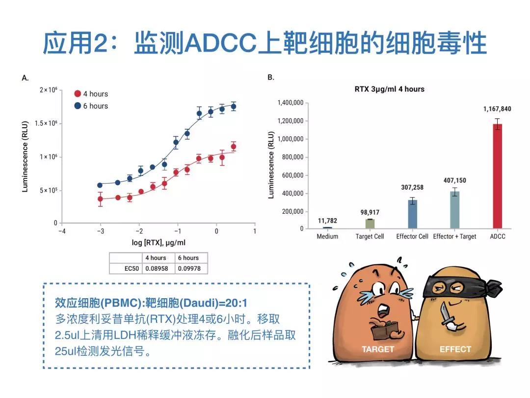 Promega漫画小剧场