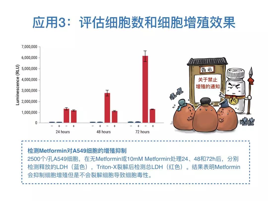 Promega漫画小剧场
