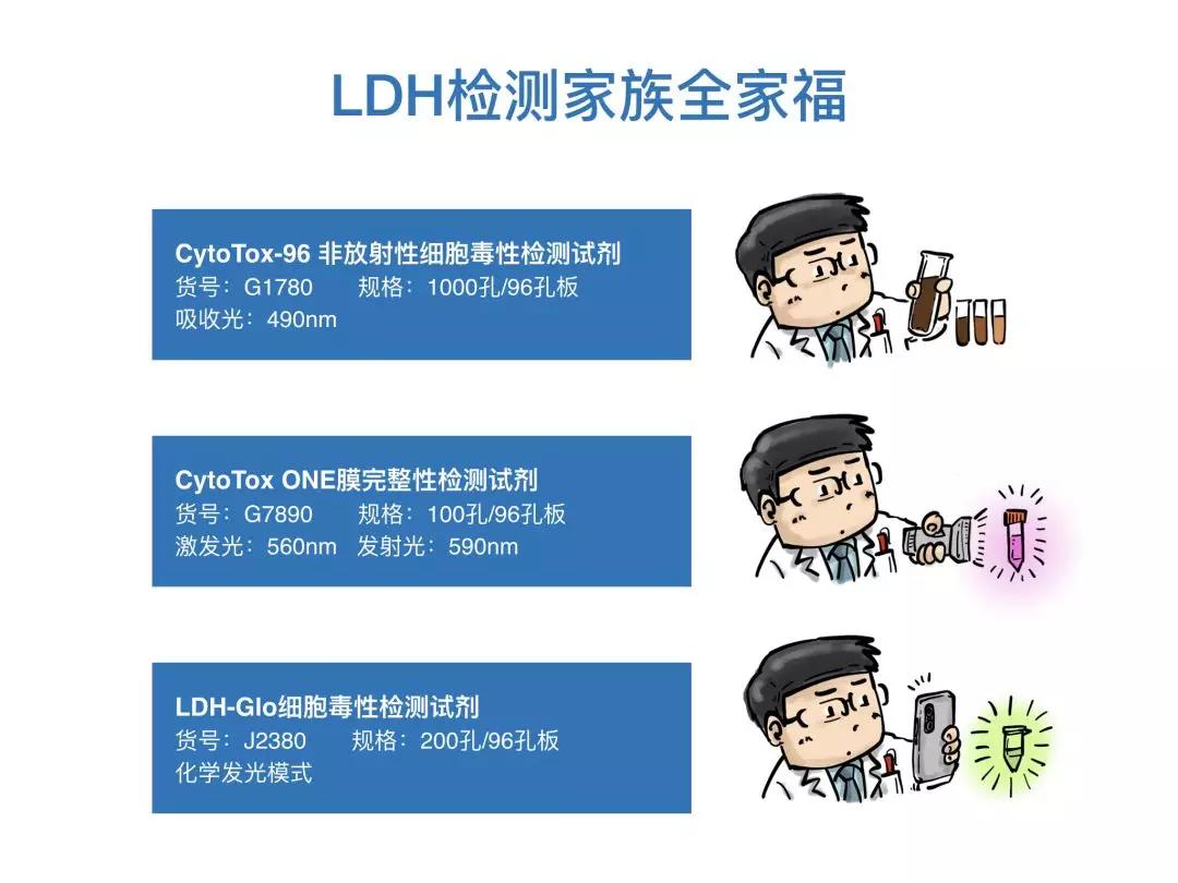 Promega漫画小剧场