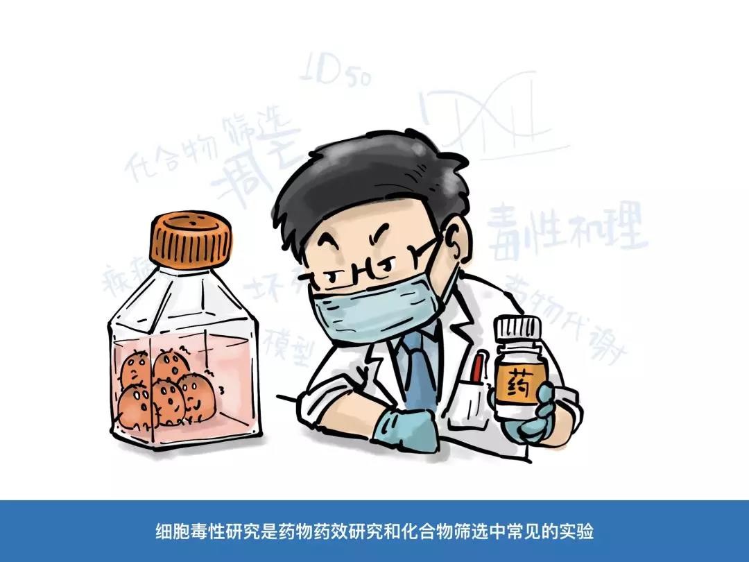 Promega漫画小剧场