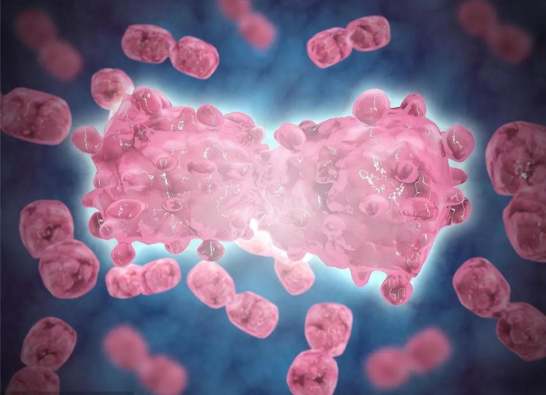 甲醛致白血病并非一触即发！来看专家权威解读