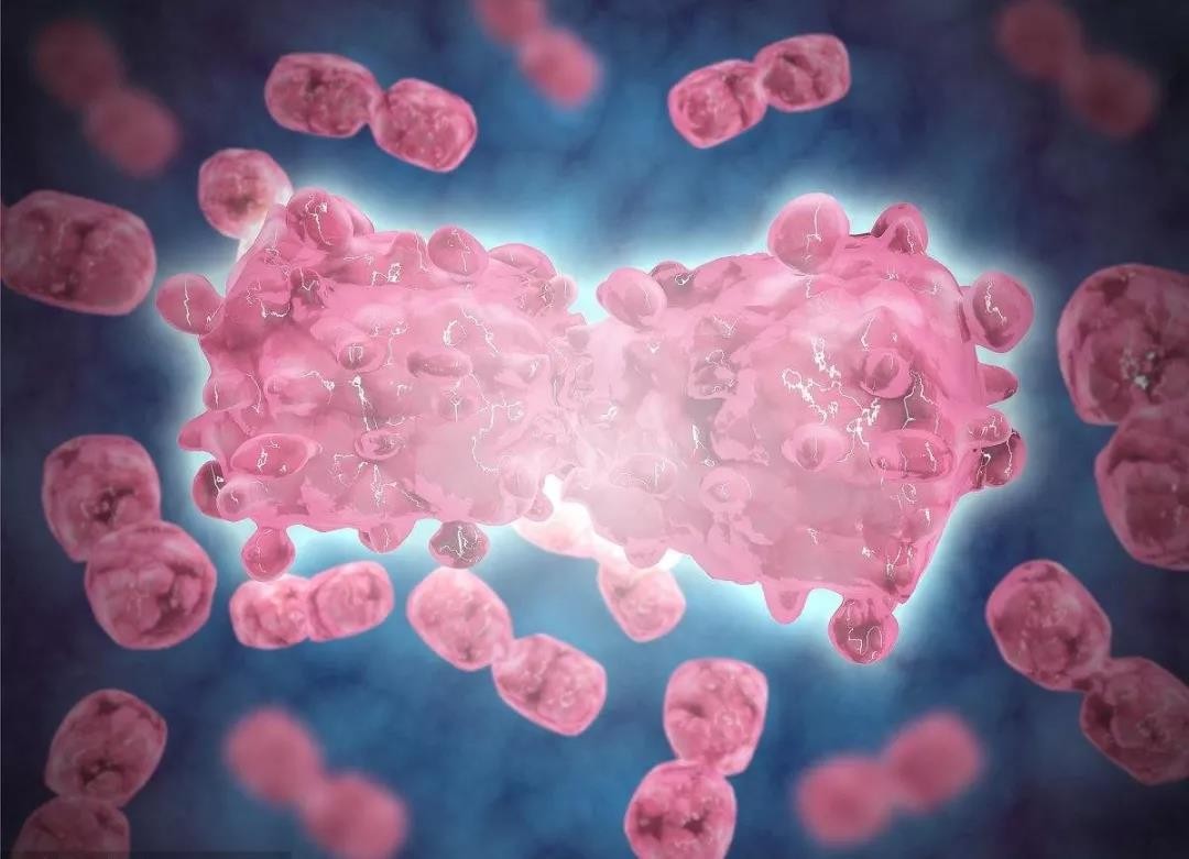 甲醛致白血病并非一触即发！来看专家权威解读