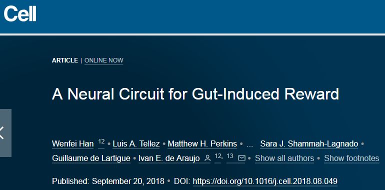 Science、Cell同揭示：“第六感”藏在肠道内，可秒速对接大脑
