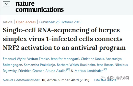 《自然通讯》：深入疱疹病毒